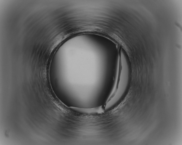 X0000091240834200708301536