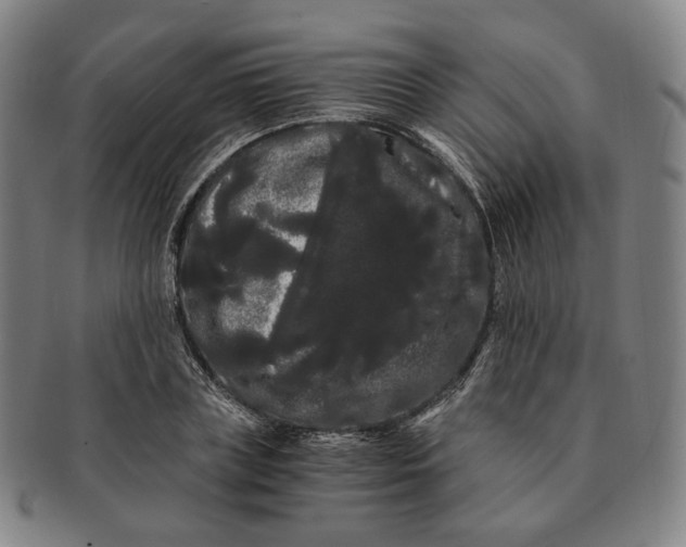 X0000091240835200708301536