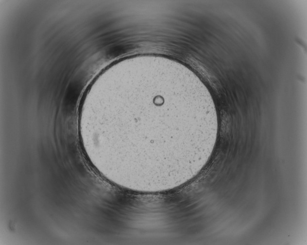 X0000091240836200708301536