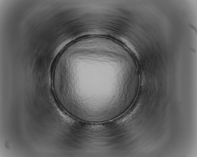 X0000091240837200708301536