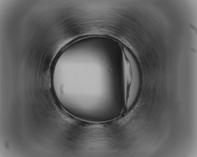 X0000091240838200708301536