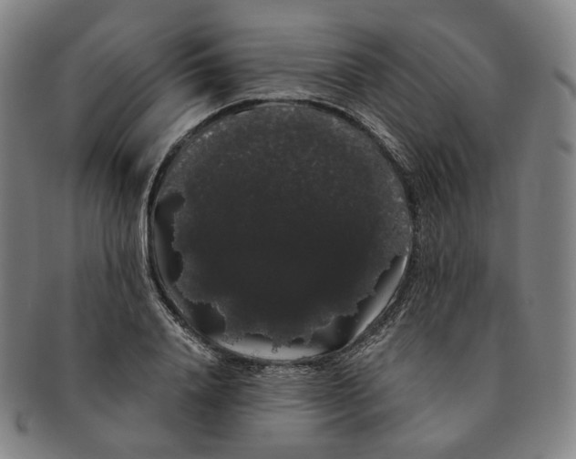 X0000091240840200708301536