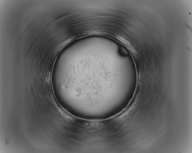 X0000091240841200708301536