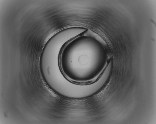 X0000091240842200708301536