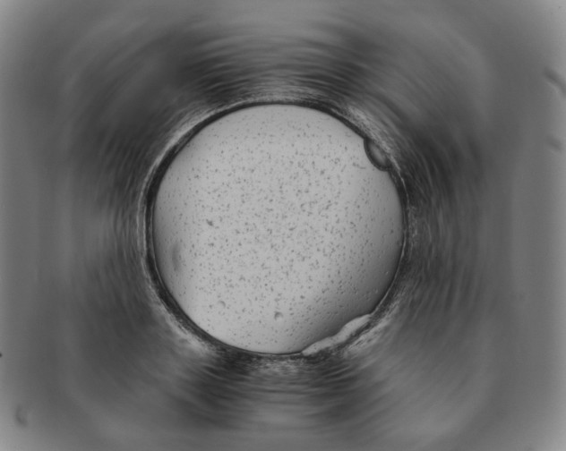 X0000091240843200708301536