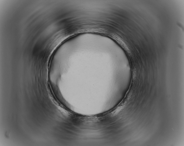 X0000091240844200708301536