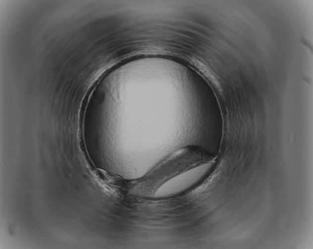 X0000091240845200708301537