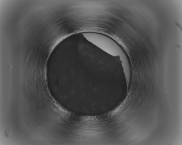 X0000091240846200708301537