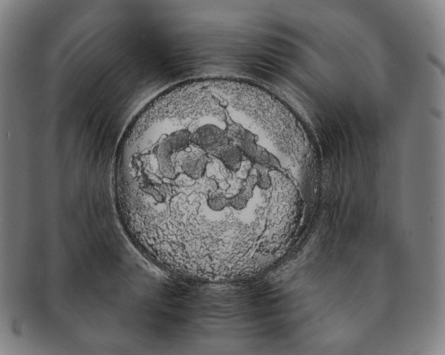 X0000091240847200708301537