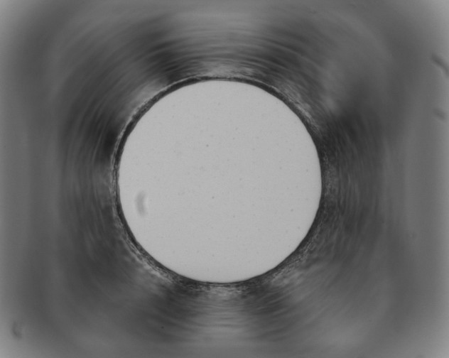 X0000091240848200708301537