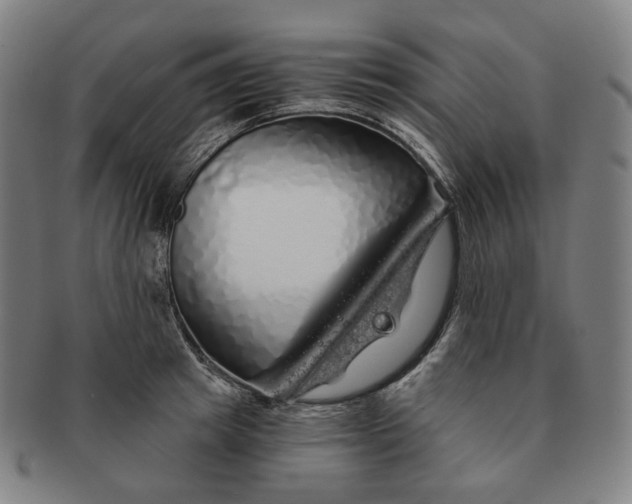 X0000091240849200708301537