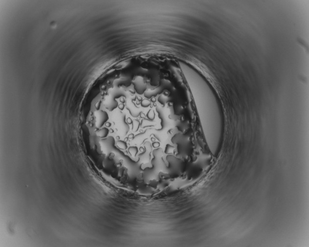 X0000091240850200708301537