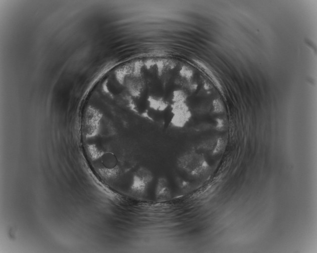 X0000091240851200708301537