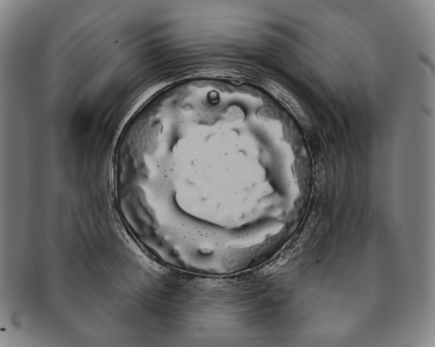 X0000091240852200708301537