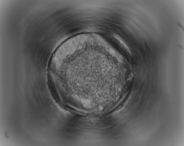 X0000091240853200708301537