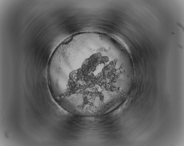 X0000091240855200708301537