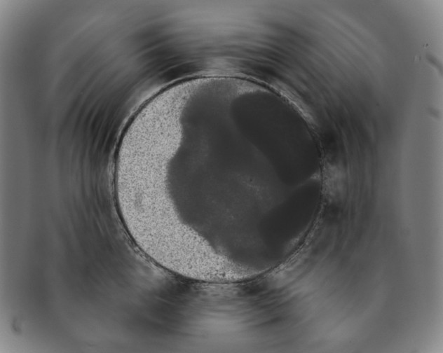 X0000091240856200708301537