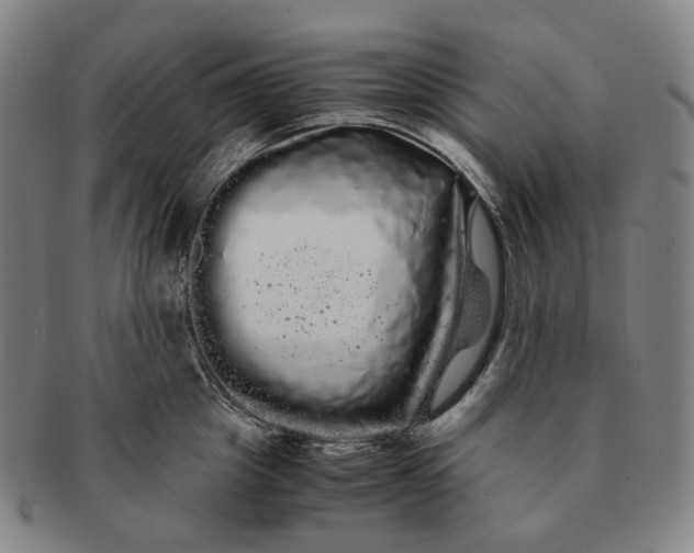 X0000091240857200708301537