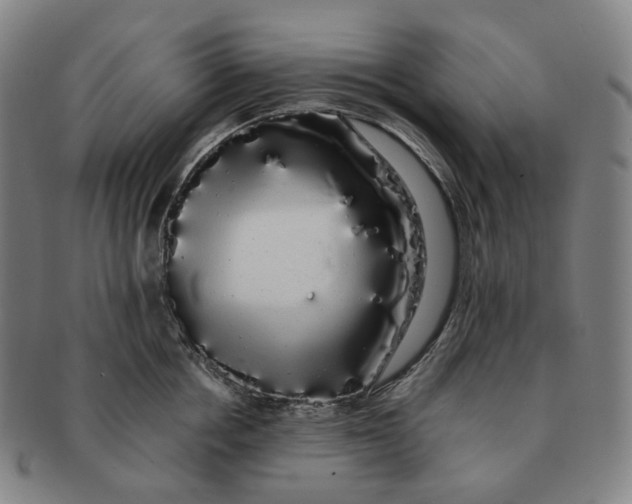 X0000091240858200708301537