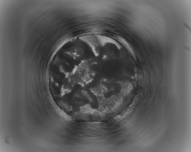 X0000091240859200708301537