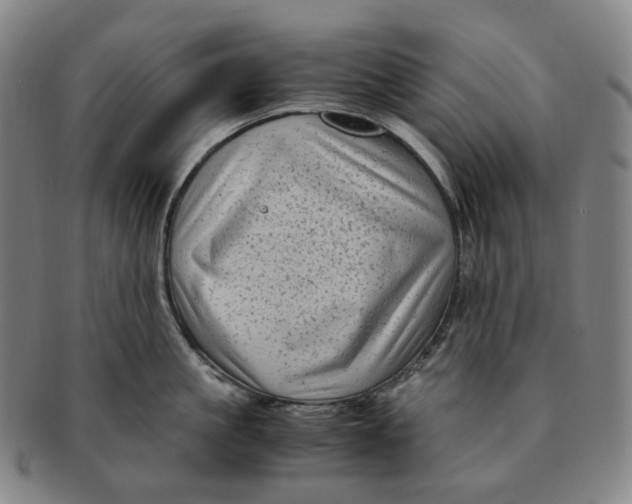 X0000091240861200708301537