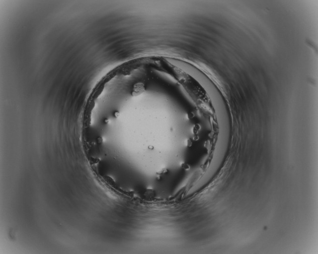 X0000091240862200708301537