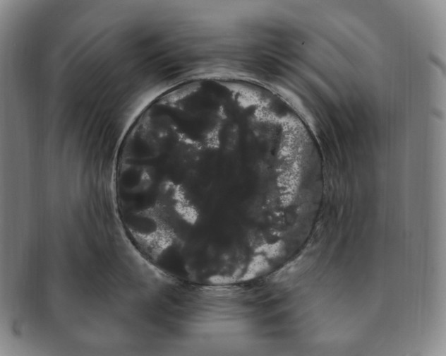 X0000091240863200708301537