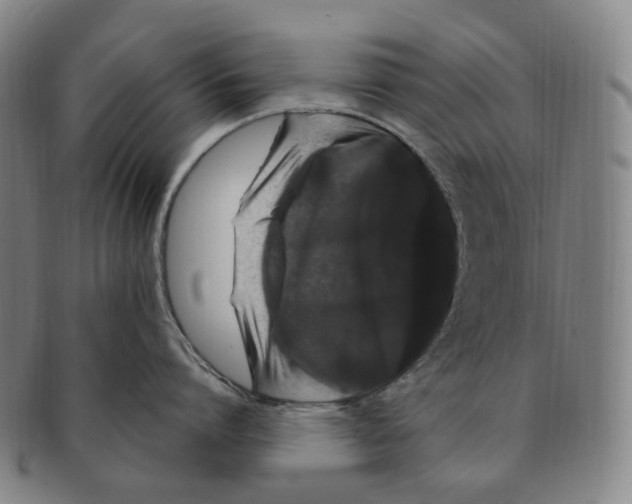 X0000091240864200708301537