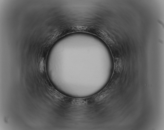 X0000091240866200708301536