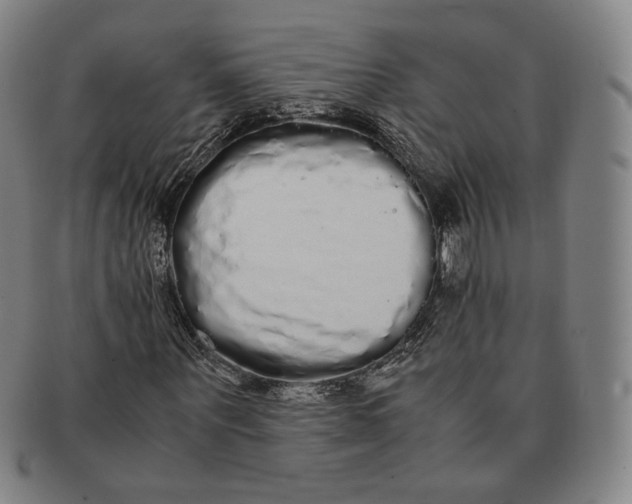 X0000091240867200708301536