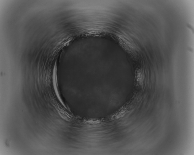 X0000091240868200708301536