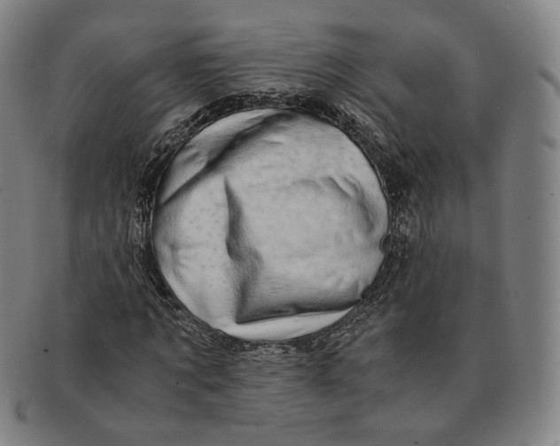 X0000091240869200708301536