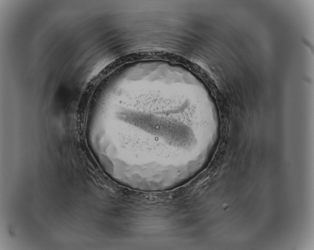 X0000091240871200708301536