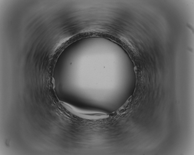 X0000091240872200708301536