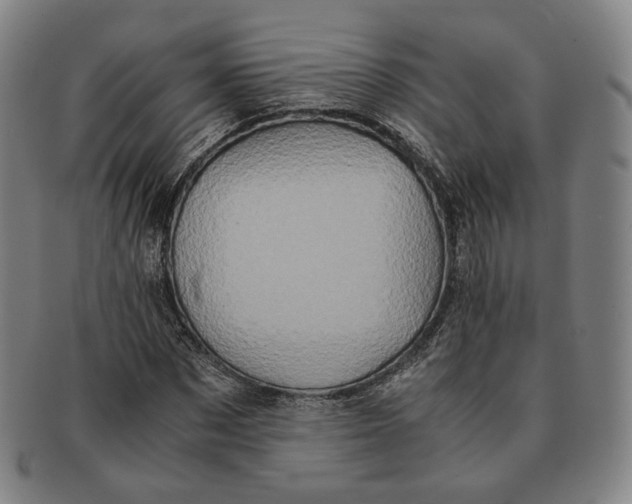 X0000091240873200708301536