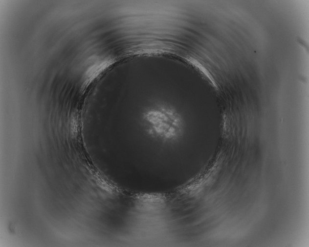 X0000091240874200708301536