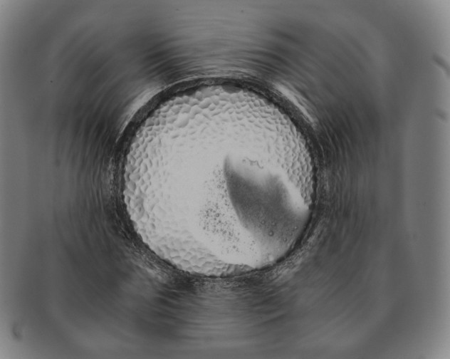 X0000091240875200708301536