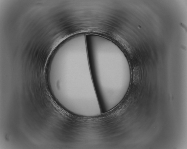 X0000091240876200708301536