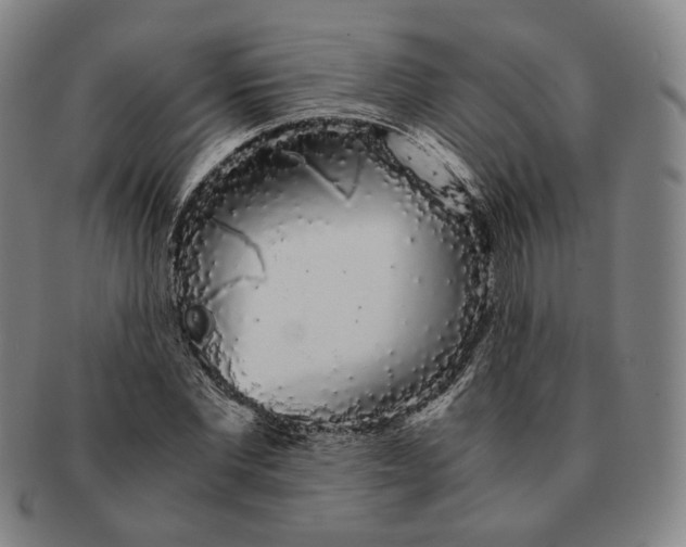 X0000091240877200708301536