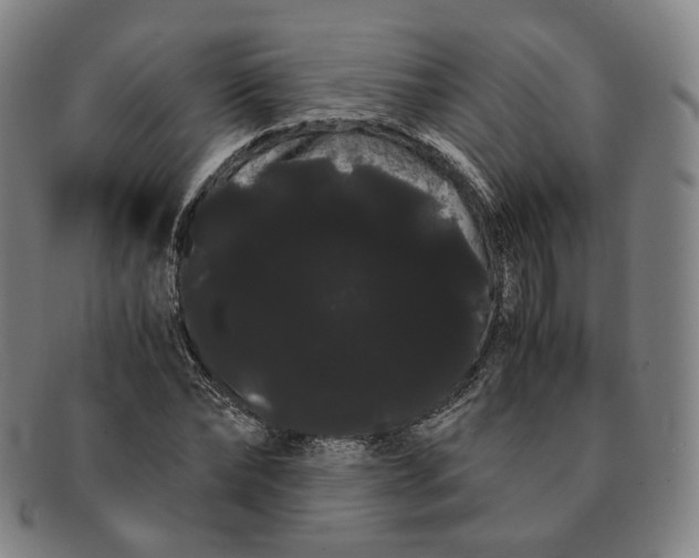 X0000091240878200708301536