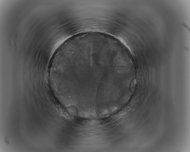 X0000091240879200708301536