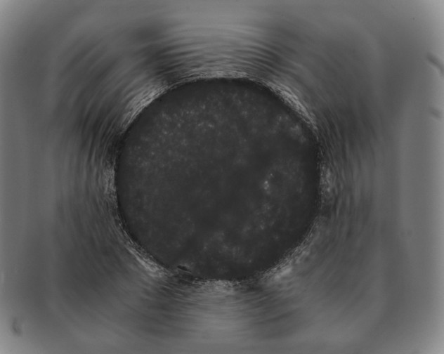 X0000091240881200708301536