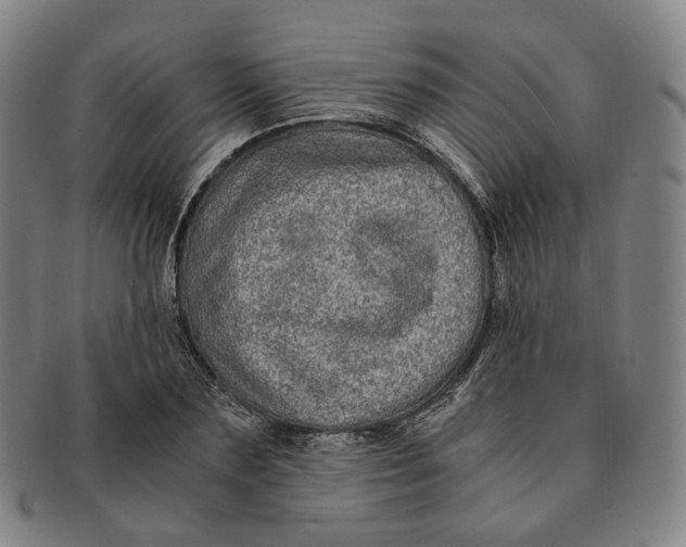 X0000091240883200708301536