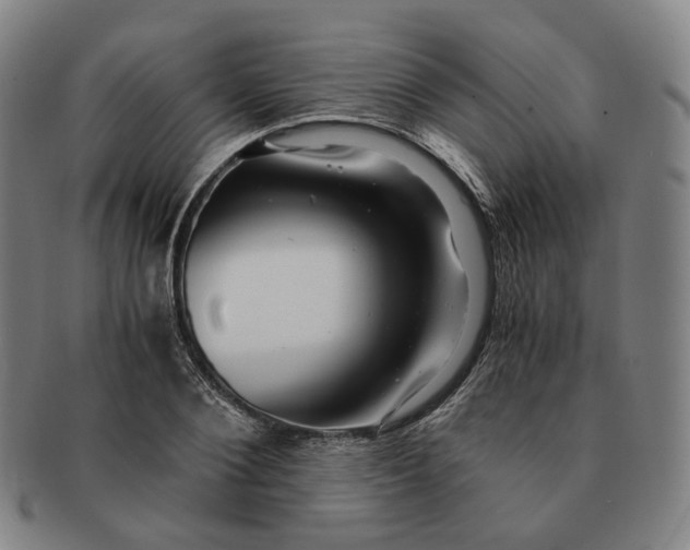 X0000091240884200708301536