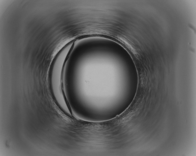 X0000091240885200708301536