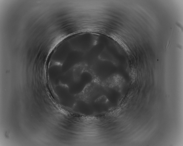 X0000091240886200708301536