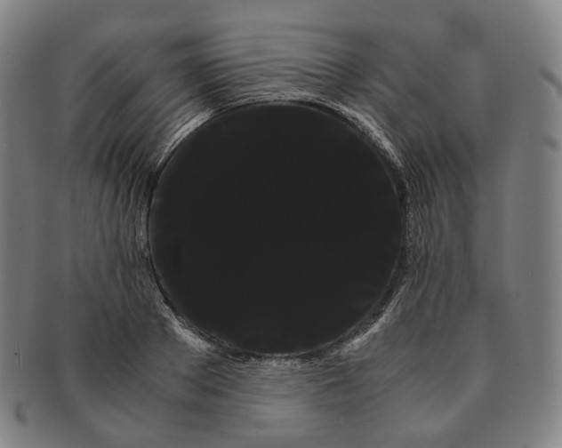 X0000091240889200708301536