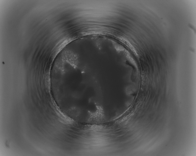 X0000091240890200708301536