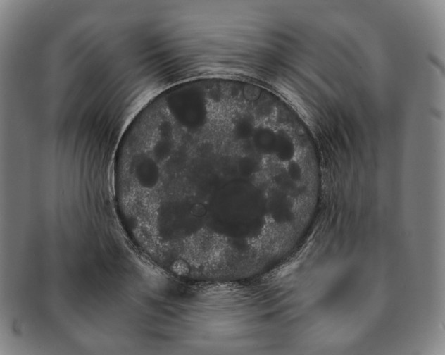 X0000091240891200708301536