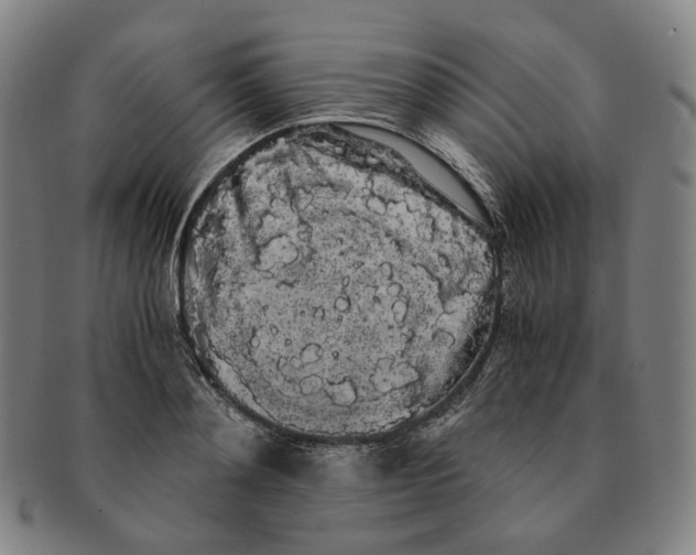 X0000091240892200708301536